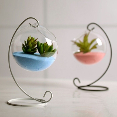 Hanging Ball Glass Flower Planter Vase Terrarium Container