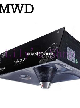 High quality large range hoods hood Kitchen exhaust fan smok
