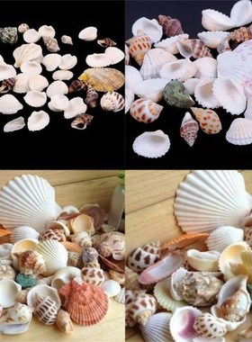 100g /bag Beach SeaShells Mix Sea Shells Shell Craft SeaShel