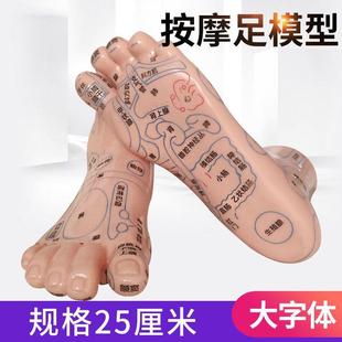丰帆足部穴位模型清晰刻字足底反射区按摩器点穴棒脚丫子模型家用