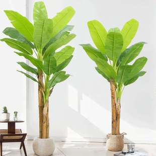 高端超大型仿真绿植阔叶芭蕉树室内仿生热带植物造景假树装饰摆件