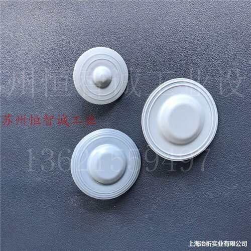 计量泵C3520膜片威奇30计量B1015C31iwaki电磁隔膜易EH