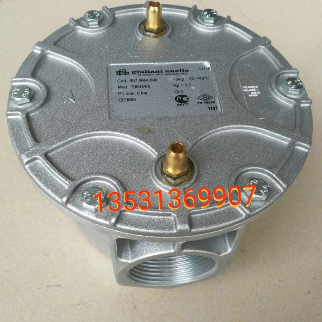 过滤器 过滤器Giuliani  70603/6B  DN40