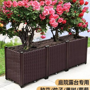 速发菜箱户外果树葡萄竹箱桂花月季种植子花盆庭院种花专用长方形