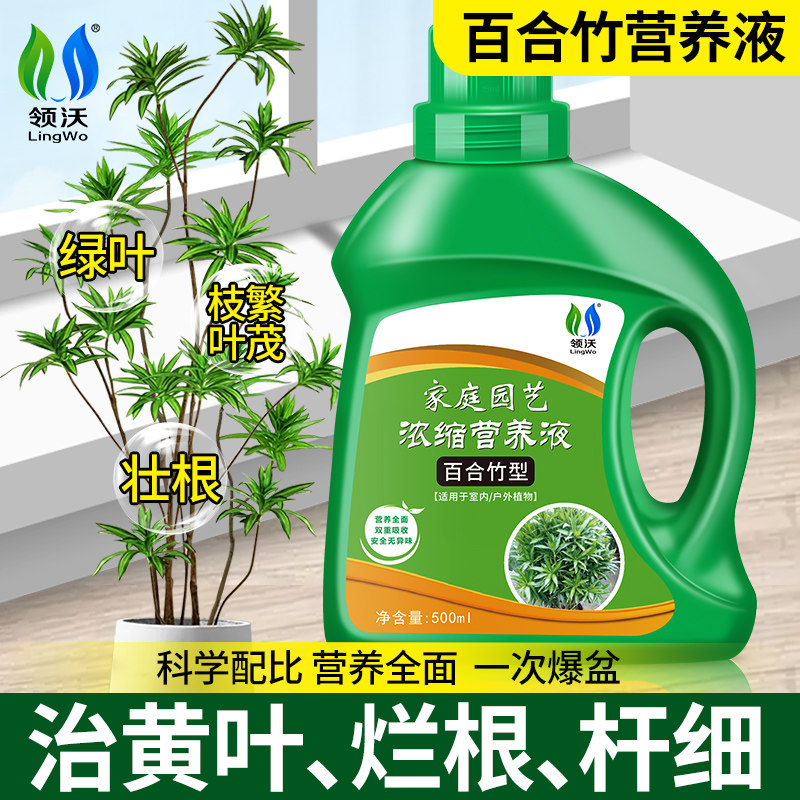 速发百合竹专用叶养液肥料治营子发黄枯叶养护盆栽溶植通用水绿肥