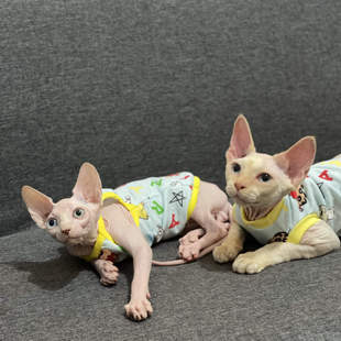 速发无毛猫衣暖秋冬保服纯棉背心婴儿级司料防过敏德文布芬克斯猫