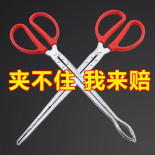 速发不锈钢黄蟹夹子鳝鱼夹泥鳅螃鳝钳子防滑脱赶海神器抓龙虾专用