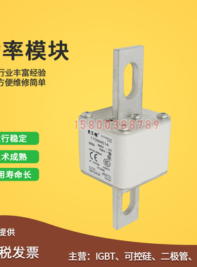 速发适用快6熔断器保险丝170M4614/4速15/4616//61744618/461/465