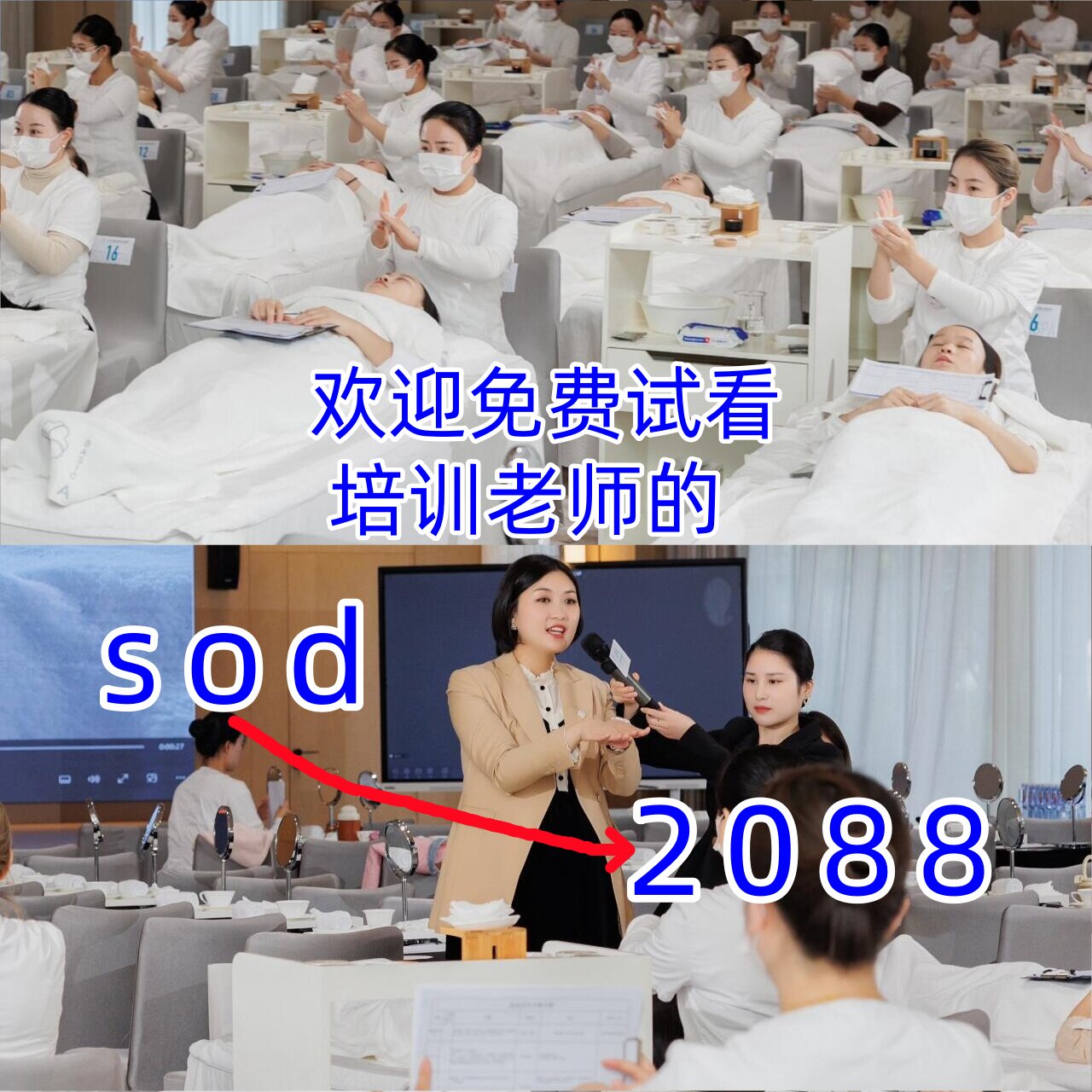 美容院全套培训教程皮肤管理护肤手法教学课程试看