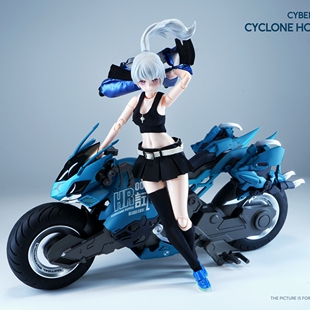 核能矩阵 赛博森林 叶风婵 雷霆帝甲 飓风飞蝗摩托 拼装