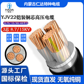 300 400平方工程用电缆 15KV铜芯交联50 哈达线缆YJV22高压8.7