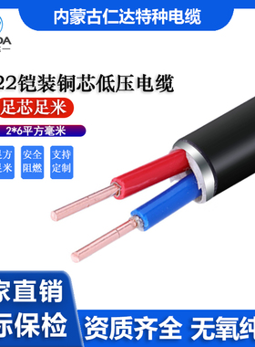 哈达线缆ZR-VV22-0.6/1KV-2*6平方 国标铜芯铠装阻燃电力传输电缆