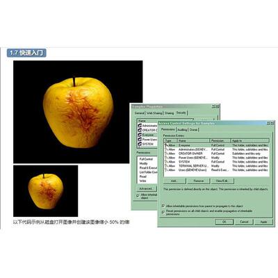AspJpeg.NET 2.9 是一个本机 .NET 服务器