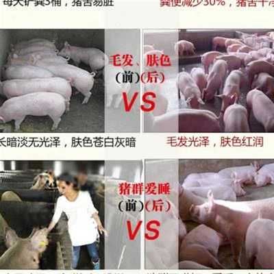新66添大猪生饲料加剂猪用催长素维生素益菌促生长育肥猪预混料.