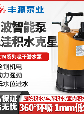 浙江丰源FCM吸干潜水泵低水位抽水泵雨水集水地下室电梯井全自动V