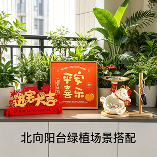 北向阳台绿植平安摆件玄关区域喜乐车载苹果车内玄关一路岁岁相框