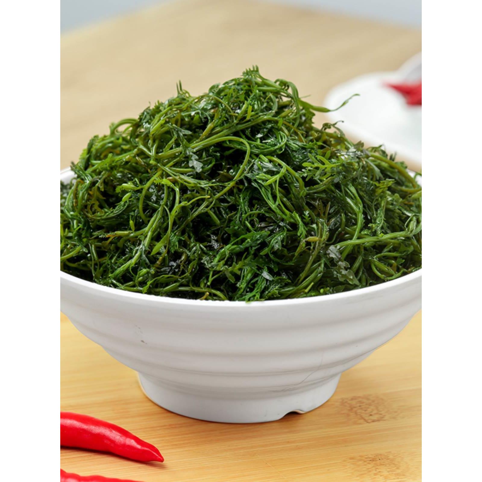 鞭炮笋长寿菜干货开袋即食盐渍马尾藻羊栖菜海藻火锅食材海带海笋