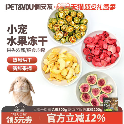 水果冻干兔子仓鼠龙猫零食苹果干