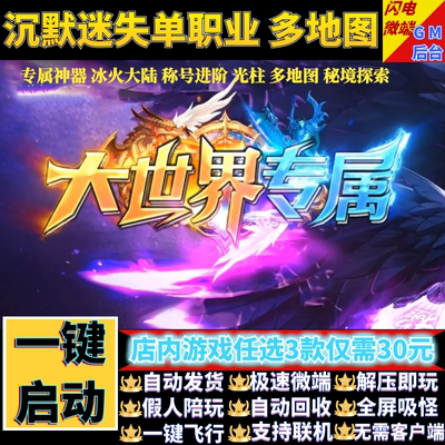 传奇单机电脑版大世界专属激情单职业秘境假人GM后台微端联网联机