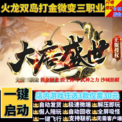 传奇单机电脑版大唐盛世火龙微变专属三职假人GM后台微端联网联机