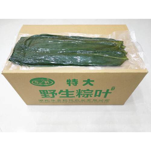 真空包装特大cMTT叶粽叶保鲜麻竹大箬叶8cm粽*节8.5m端午叶