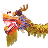 舞龙具灯道AAO灯光艺龙南龙头北龙舞龙春节龙表演道具民间手工品