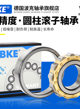 德国BKE轴承RSL SL 185004 185005 185006 185007 185008-A-XL-C3