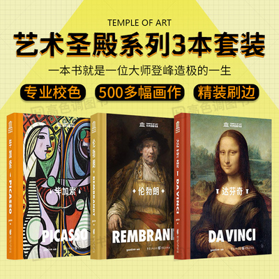 艺术圣殿书系列3本套装绘画画册