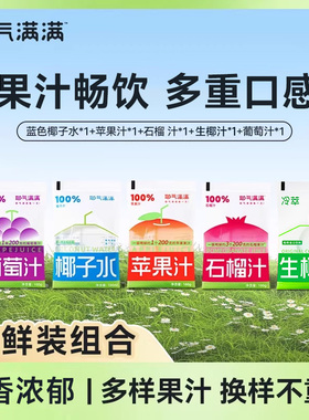 【新客必买】耶气满满100%椰子水多味混合果汁饮料集合便携袋装