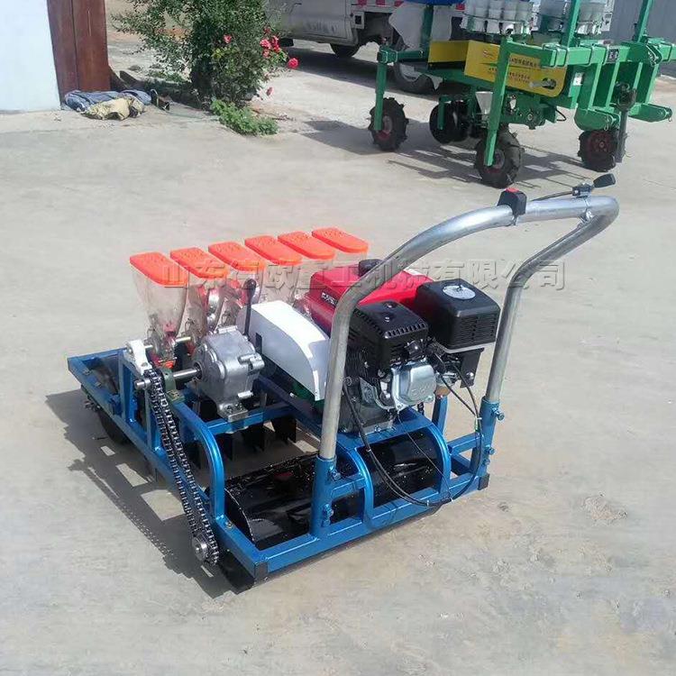 小型蔬菜播种机 农作物小颗粒种子点播机 圆孔型播种轮种子条播机