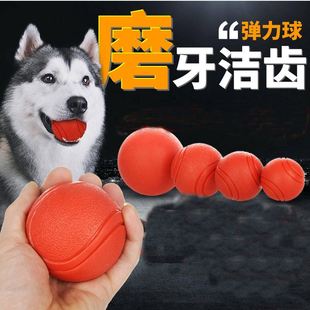 宠物玩具耐咬小狗橡胶球边牧大型犬狗球幼犬拉布拉多金毛狗狗用品