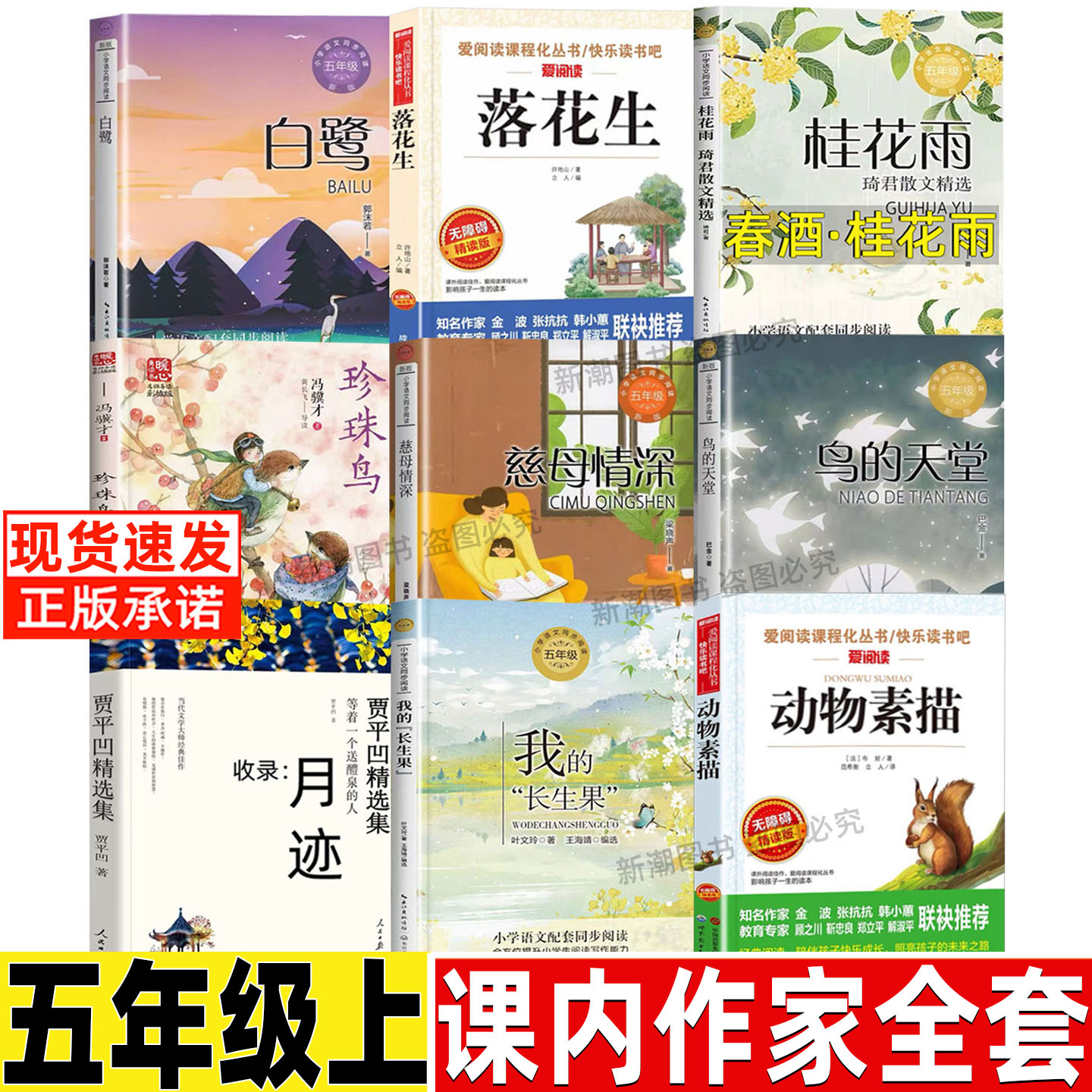 梁晓声慈母情深课外书五年级上册必读书课内作家散文作品小学生正版长江文落花生艺出版社语文人教版教材推荐同步阅读致父亲致母亲