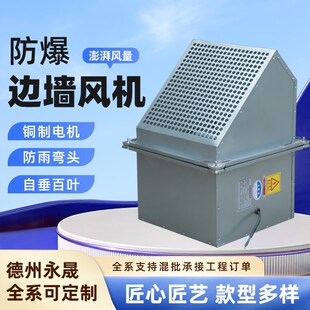 防爆边墙轴流风机DWEX 轴流排风 250D4大风F量低噪音防腐方形壁式
