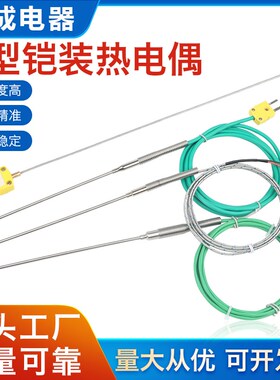 热电偶WRNK19j1分度号T/E/J/K型Pt100铠装热电阻171温度传感器探