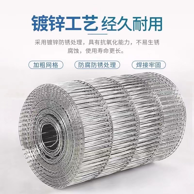 镀锌铁丝网长孔养殖o网鸽舍铁网鸟笼网片鸡兔笼网围栏网钢丝防护