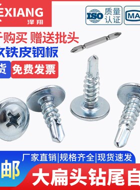 镀锌钻尾燕尾螺丝十字大扁头自钻铁彩钢瓦铁皮自攻螺丝钉M4.Z2M4.