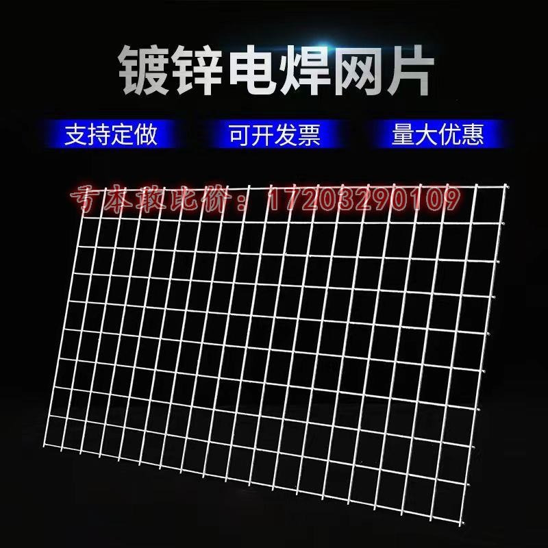 镀锌铁丝电焊网片建筑p网格养殖隔离网鸽笼加粗狗笼子钢丝围栏防