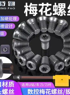 T6T8T9T10T15Tm20刀杆刀粒扳手M2/M2.5/M3/M4/M3.5/M5/M6梅花螺丝