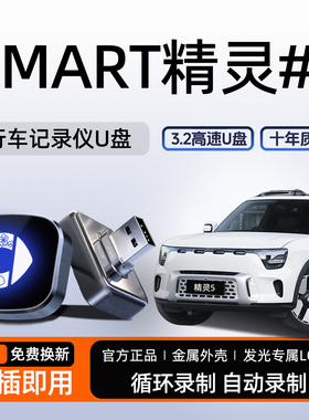 适用于奔驰Smart精灵五号行车记录仪专用U盘5号哨兵U盘汽车用品#5