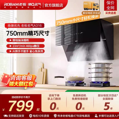 名气小尺寸吸抽油烟机家用厨房A316以旧换新补贴老板出品
