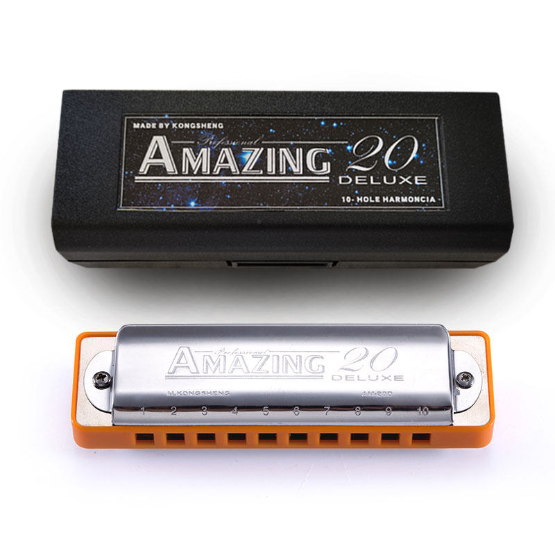 高档孔声蓝调口琴10孔am-20d十孔paddy布鲁斯成人 初学者自学演奏