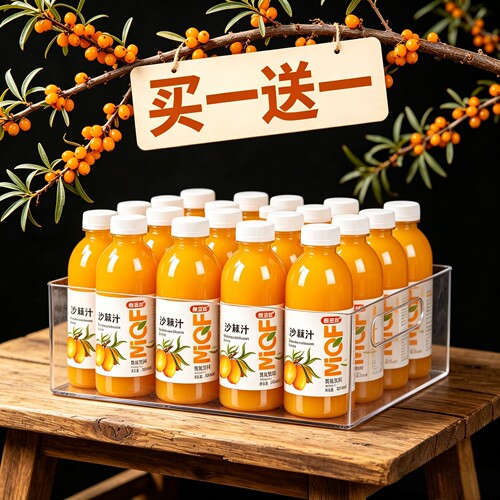 买一送一沙棘汁饮料360ml*24瓶