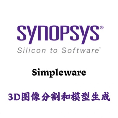 Synopsys Simpleware 2025.06 3D