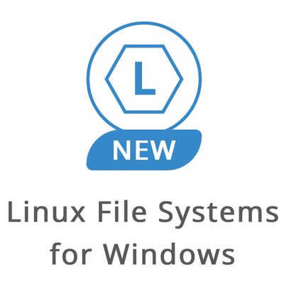Paragon Linux File Systems for