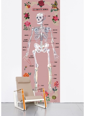 法国Moustache Le squelette humain 骨头名称生物图鉴墙贴墙纸