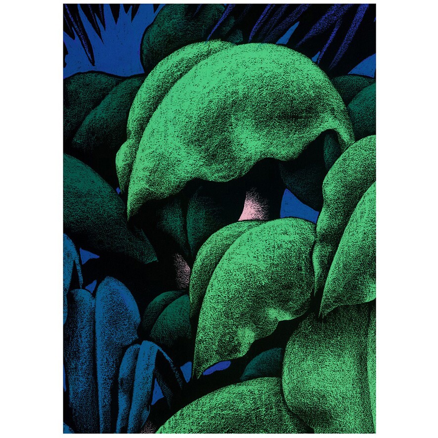 法国Moustache Krabi 热带雨林阔叶植物壁纸墙纸进口