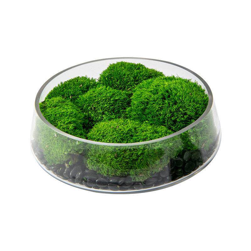 新中式仿真植物微景观永生苔藓仿生青苔室内造景茶室摆件