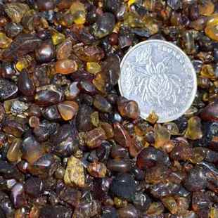 抚顺天然琥珀药珀枕头料中颗粒厂家直销养生镇静安神原矿一斤价