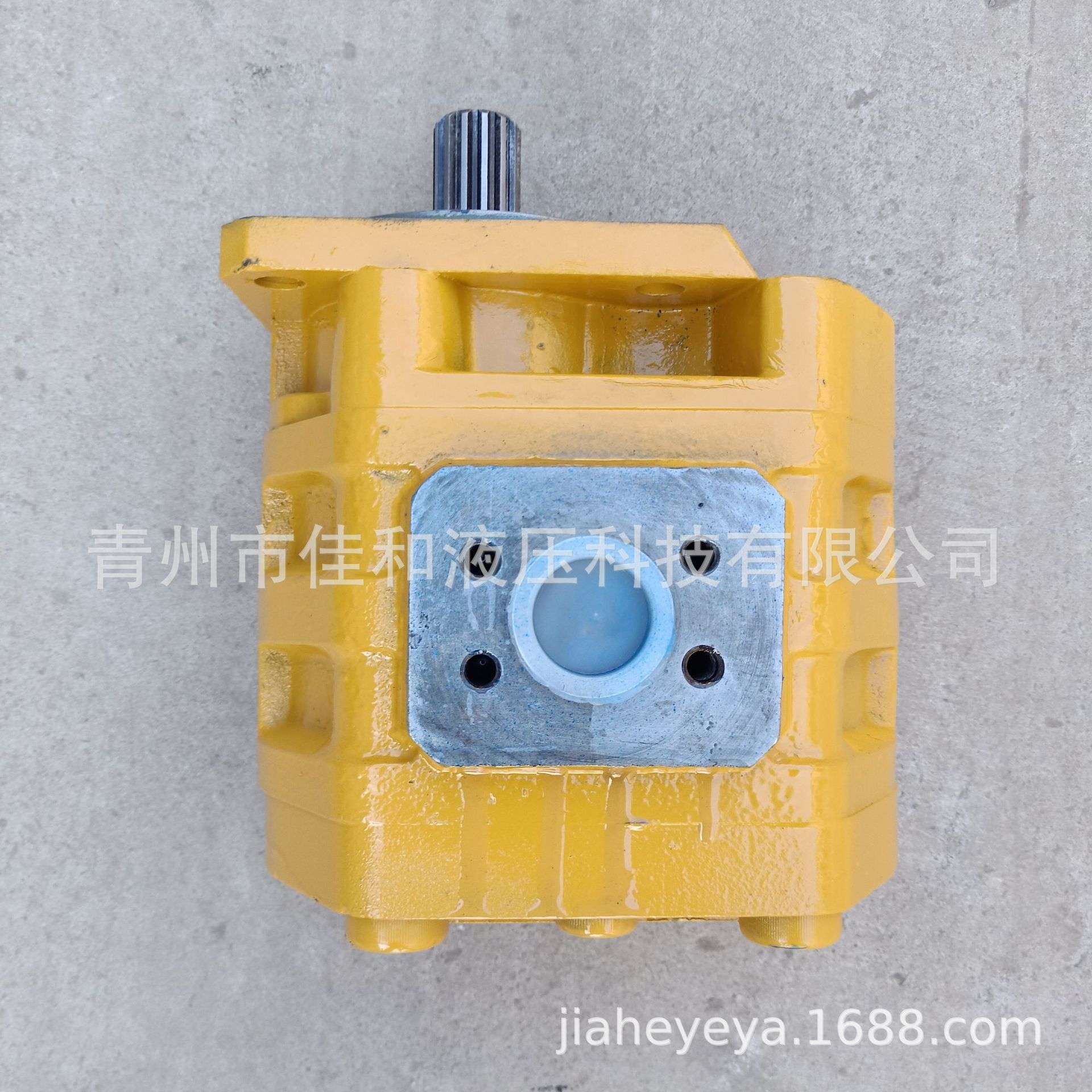 CBGJ3125 CBGJ3160 CBGJ3166 渔船 装载机 高压齿轮油泵供应