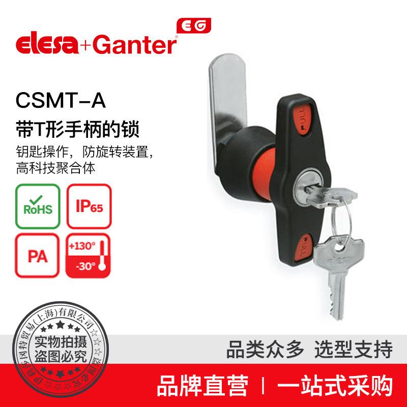 ElesaGanter伊莉莎冈特CSMT-A带T形手柄的防旋转装置高科技